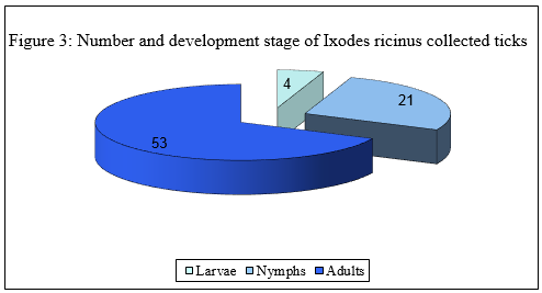 Figure 3: Number and development stage of Ixodes ricinus collected ticks