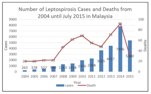 Figura 7. Numero dei casi di Leptospirosi e di decessi associati ad essa in Malesia dal 2004 a luglio 2015