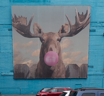 Photo by Jay Galvin. Forty Foot Moose Bubblegum, Mural(2018)