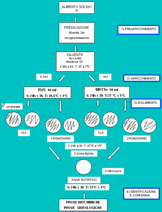Rappresentazione schematica del procedimento per la ricerca di Salmonella spp. 