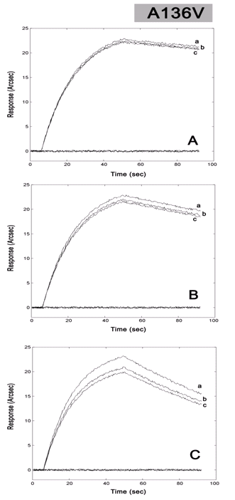 confronto tra curve di legame per ibridazione di sonda specifica per Ala al codone 136 con campioni  di genotipi ARQ/VRQ (a), ARQ/ARQ (b) e VRQ/VRQ(c)