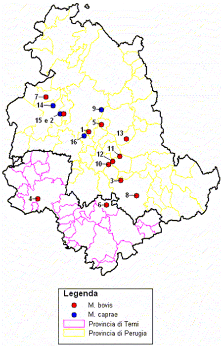 Localizzazione geografica dei Focolai di TB nella regione Umbria