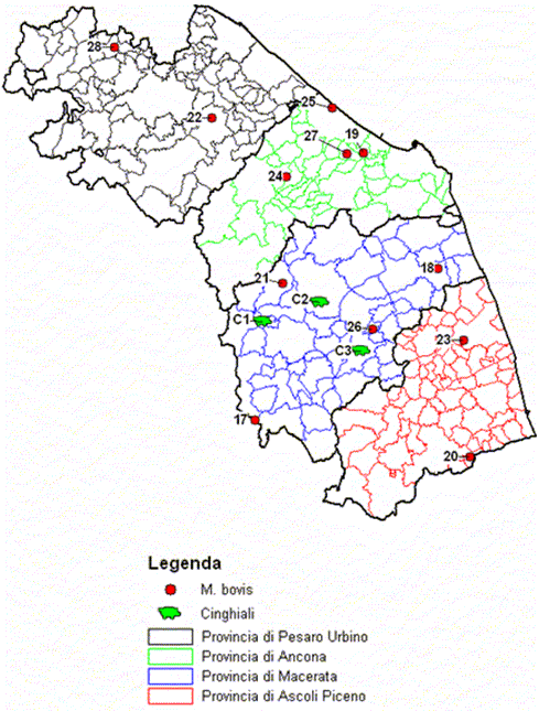Localizzazione geografica dei Focolai di TB nella regione Marche