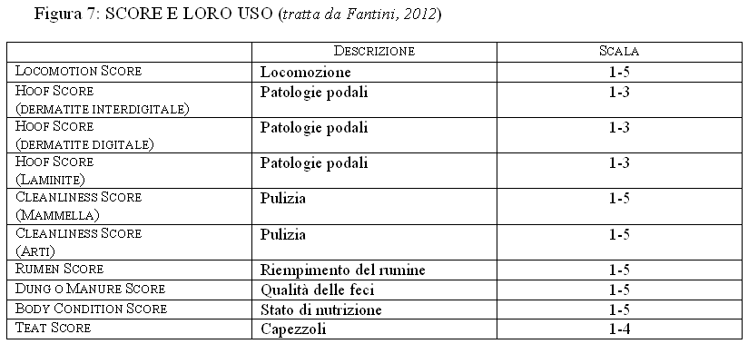Score e il loro uso  (Fantini, 2012)