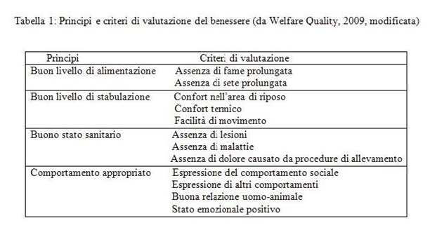 Principi e criteri di valutazione del benessere