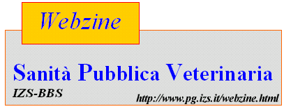 Webzine S. P. V.