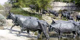 sculture bovine