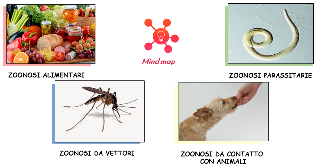 pagina welcome progetto Zoodiac